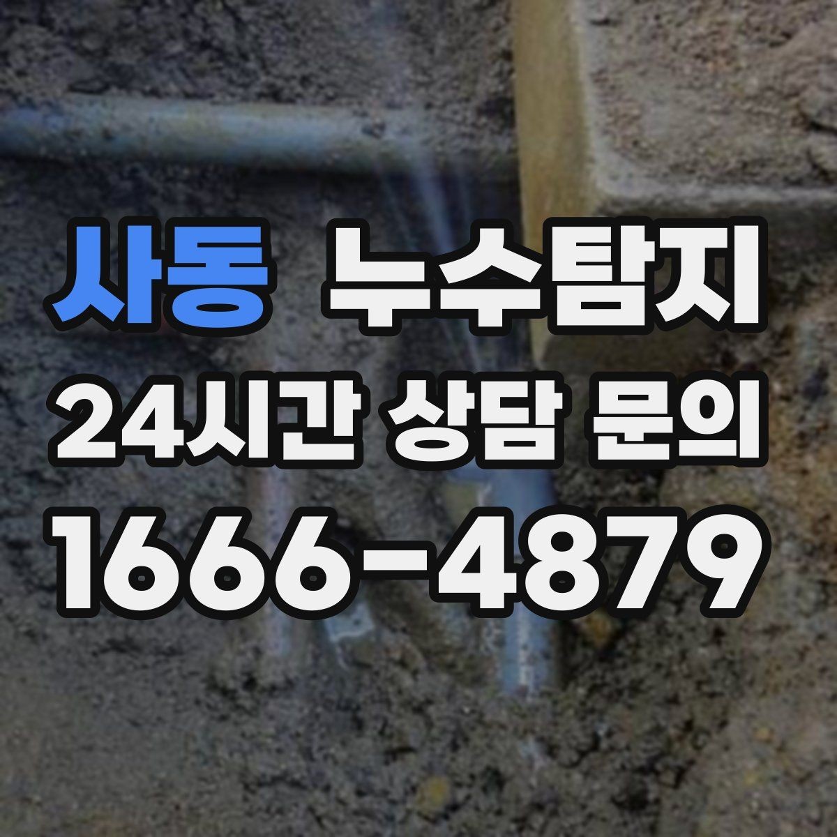 사동 누수탐지 가구 뒤 곰팡이 원인 파헤치기