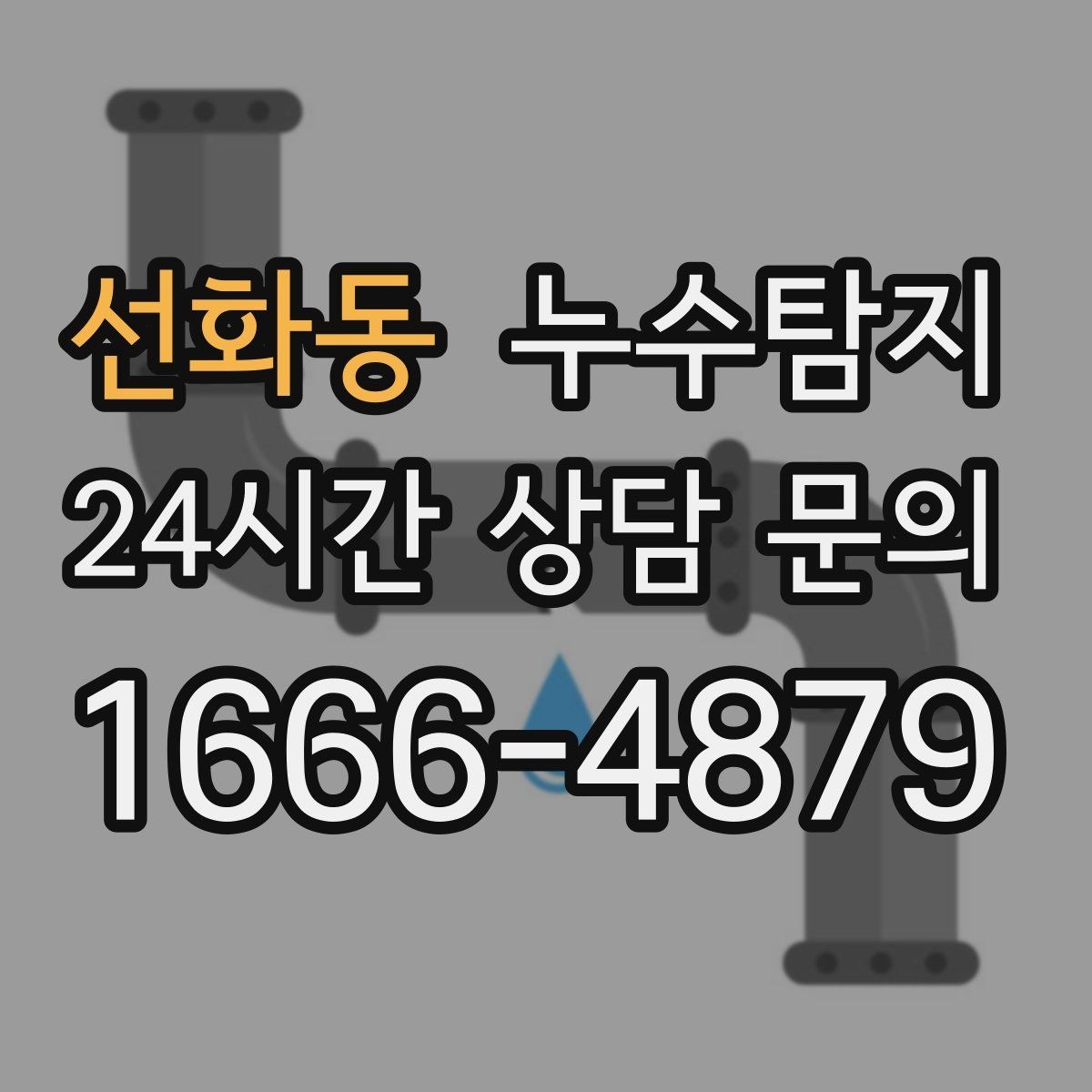 선화동 누수탐지 전문 진단 서비스