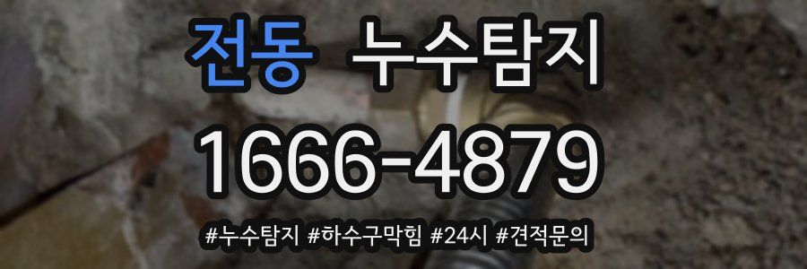 누수닥터 누수탐지