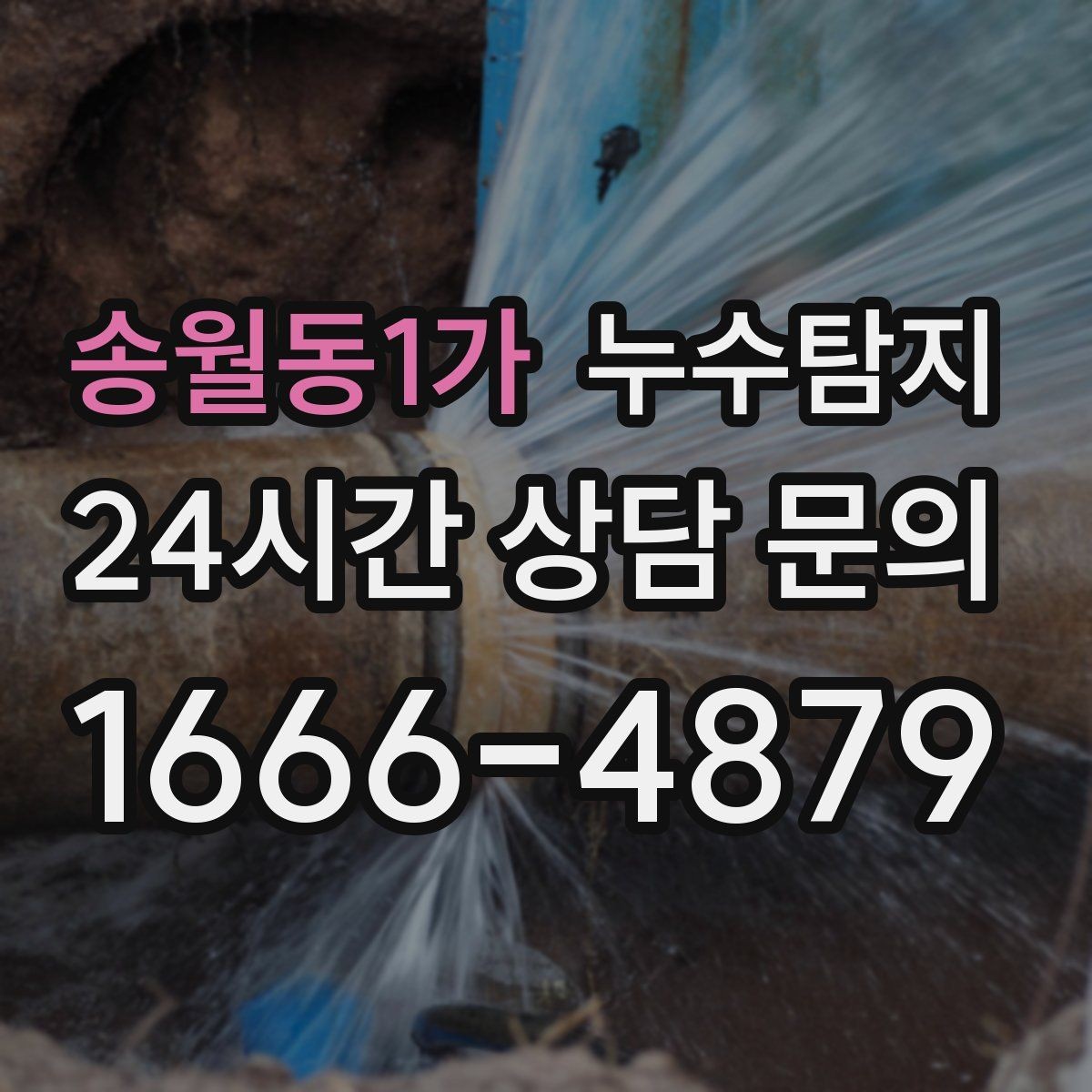 송월동1가 누수탐지 옥상 방수 층 상태 점검 노트