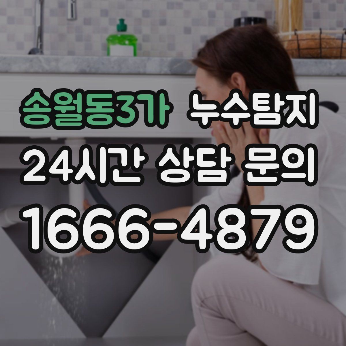 송월동3가 누수탐지 페인트 변색이 알려준 신호