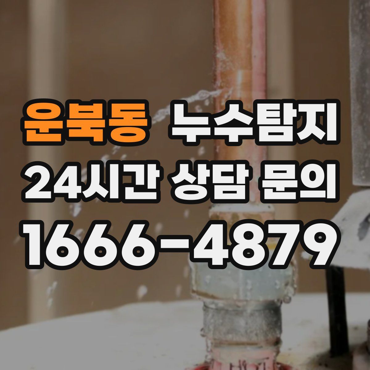 누수탐지