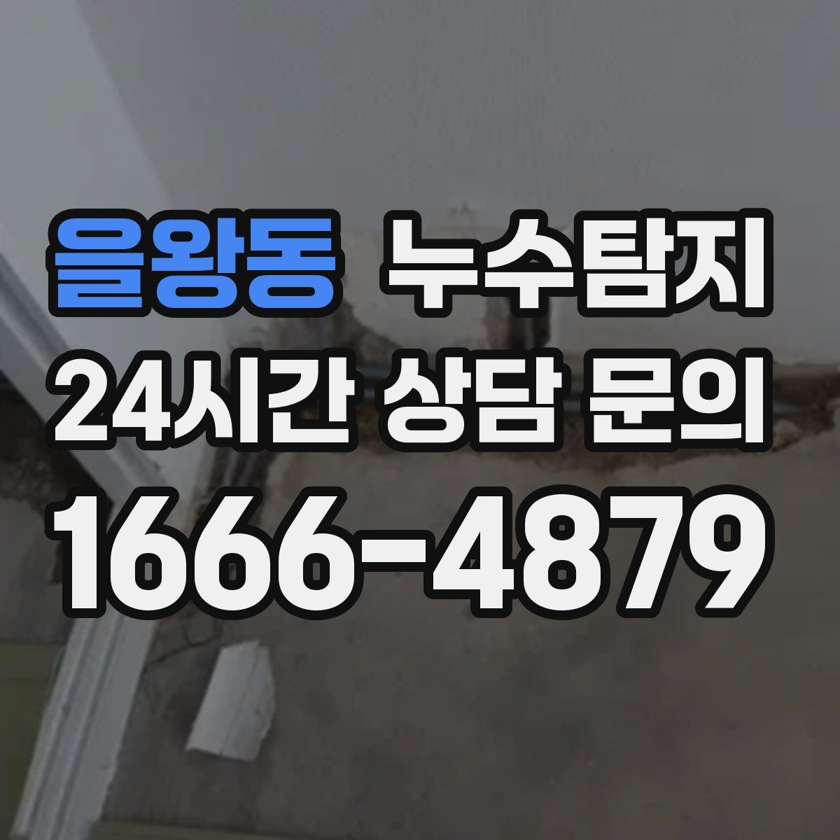 누수탐지