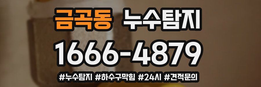 누수닥터 누수탐지