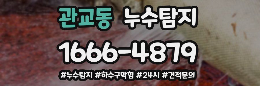 누수닥터 누수탐지