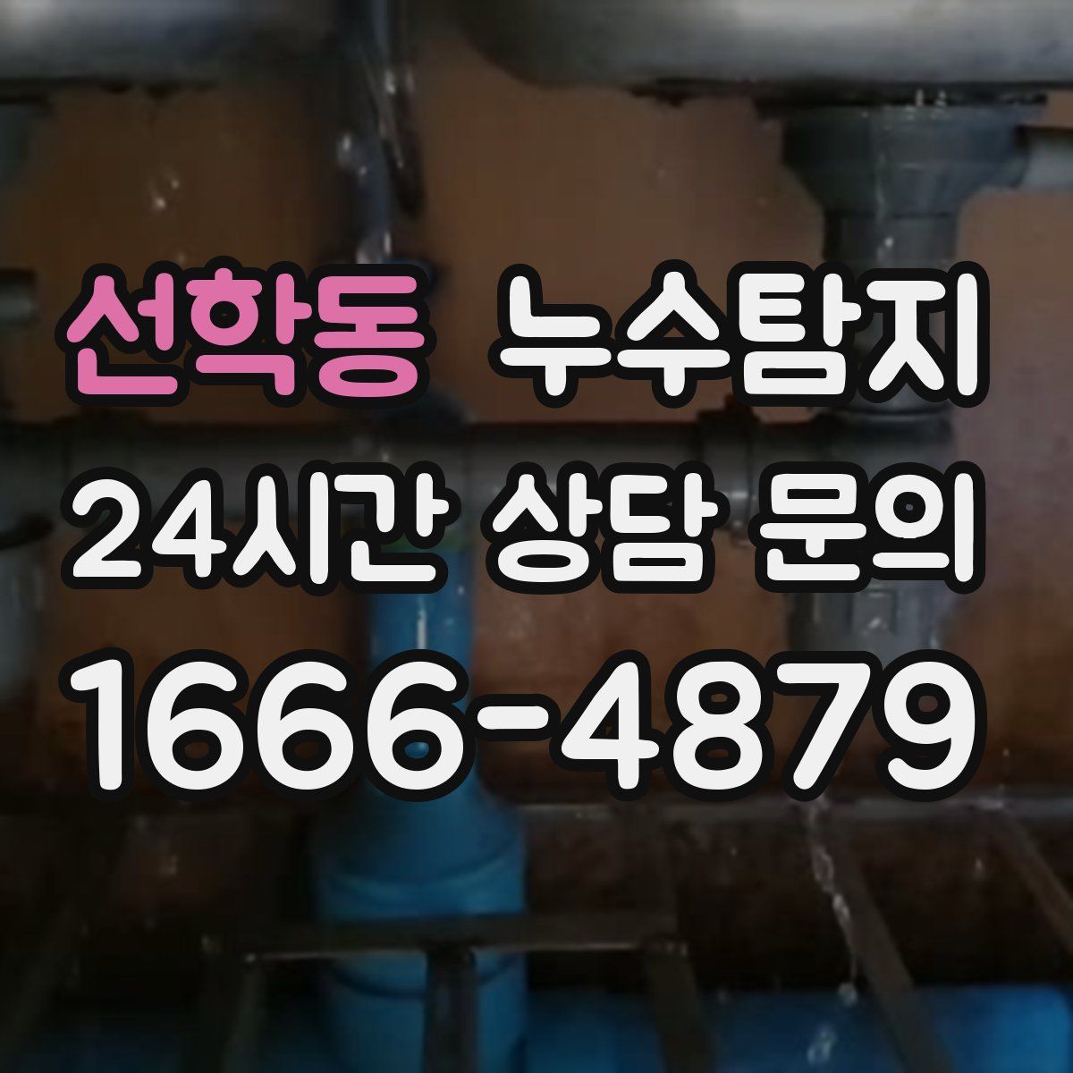 누수탐지