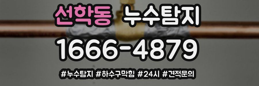 누수닥터 누수탐지