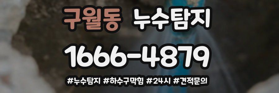 누수닥터 누수탐지