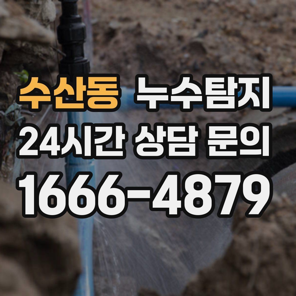 수산동 누수탐지 아이와 반려동물을 위한 안전 점검