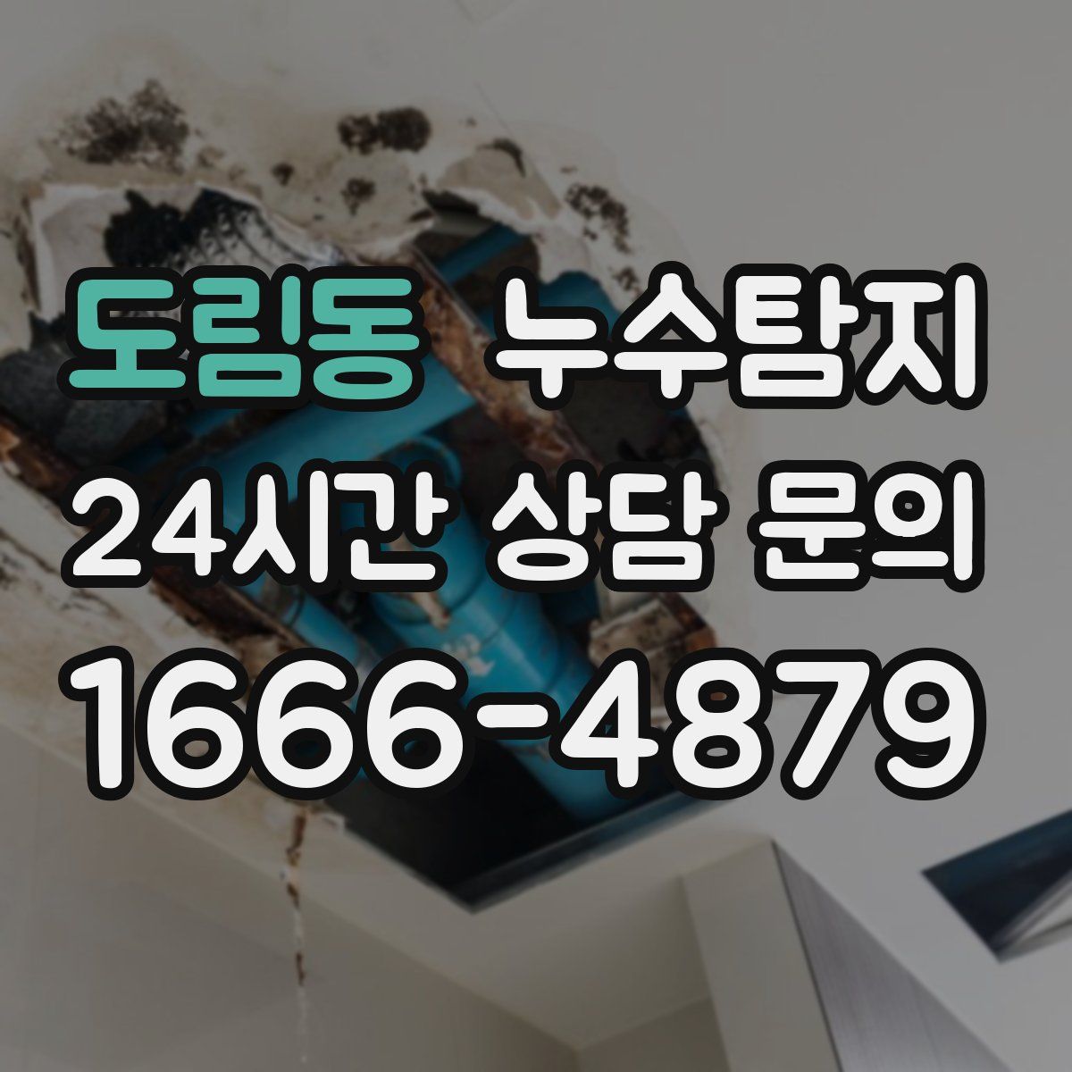 누수탐지