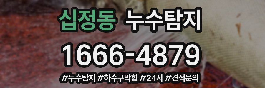 누수닥터 누수탐지
