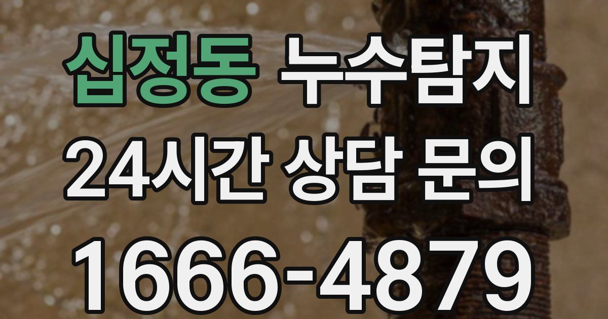 하수구막힘