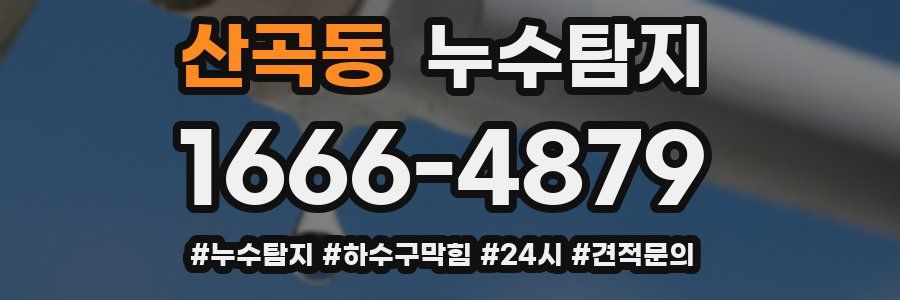 누수닥터 누수탐지