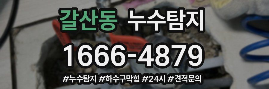 누수닥터 누수탐지