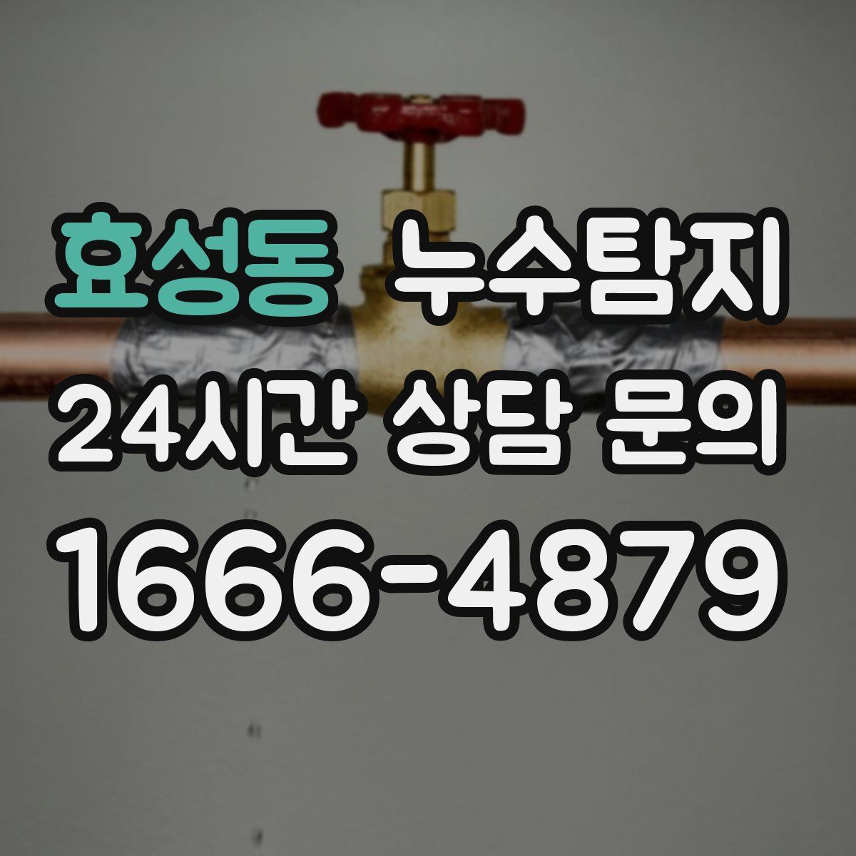누수탐지