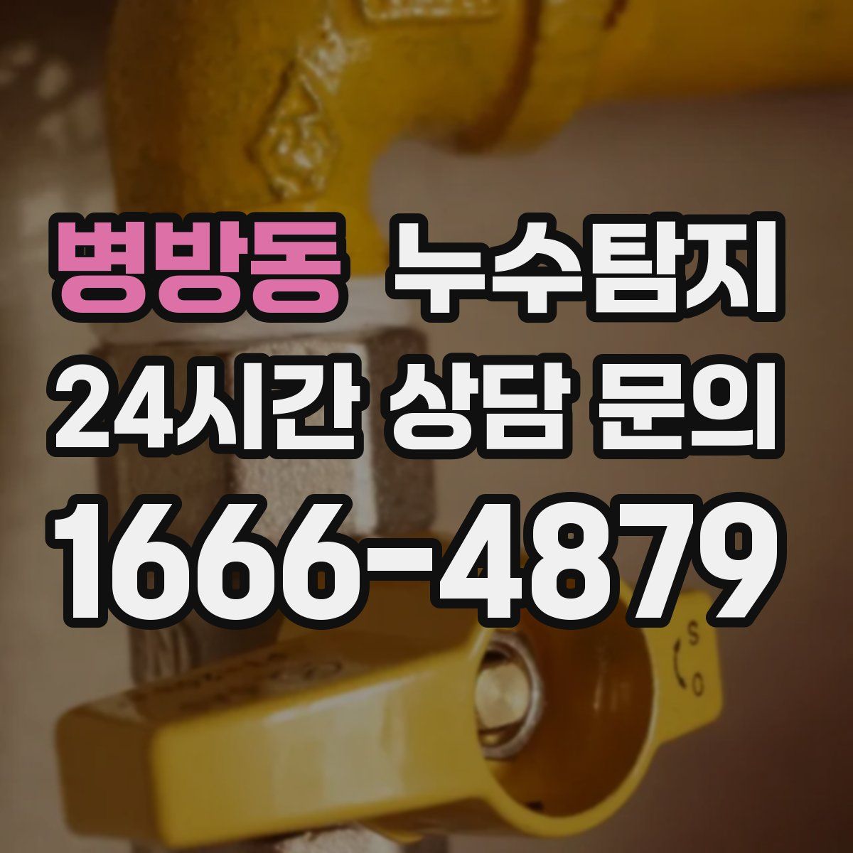 누수탐지