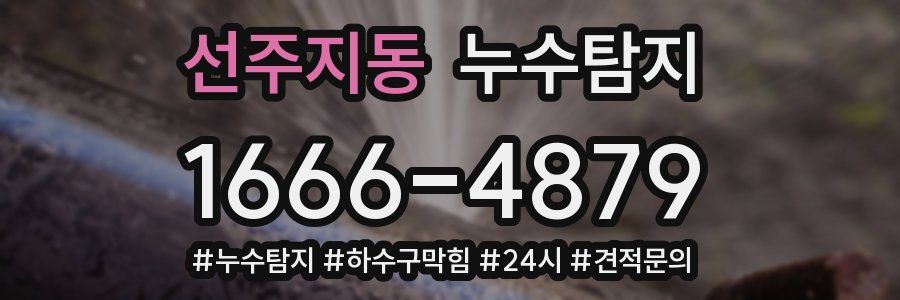 누수닥터 누수탐지