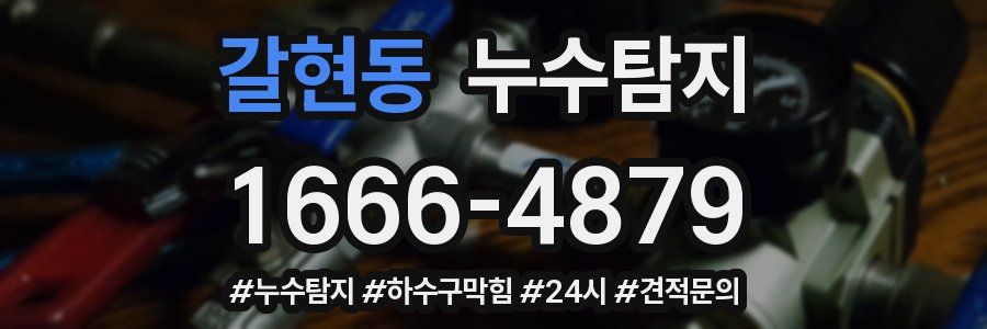 누수닥터 누수탐지