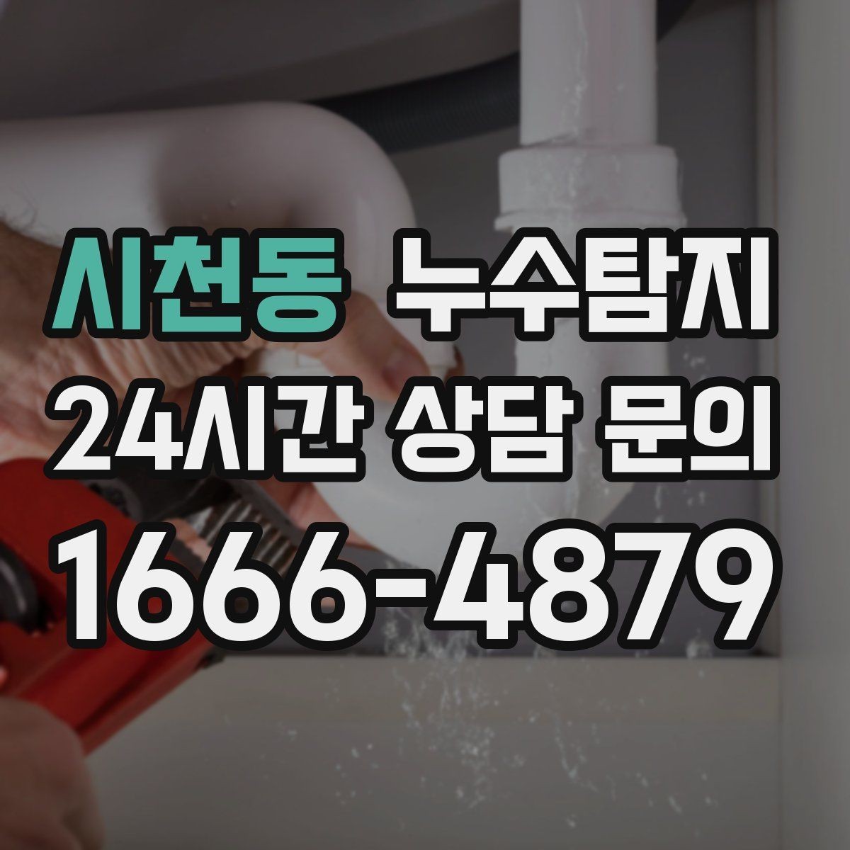 시천동 누수탐지 드레스룸 곰팡이 청결 회복