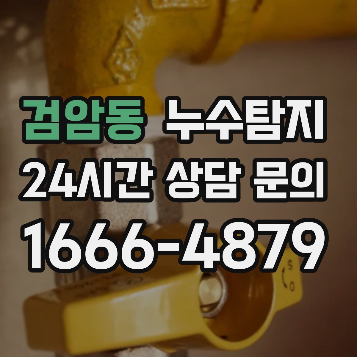 누수탐지