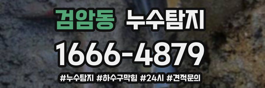 누수닥터 누수탐지