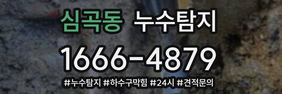 누수닥터 누수탐지