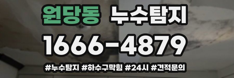 누수닥터 누수탐지