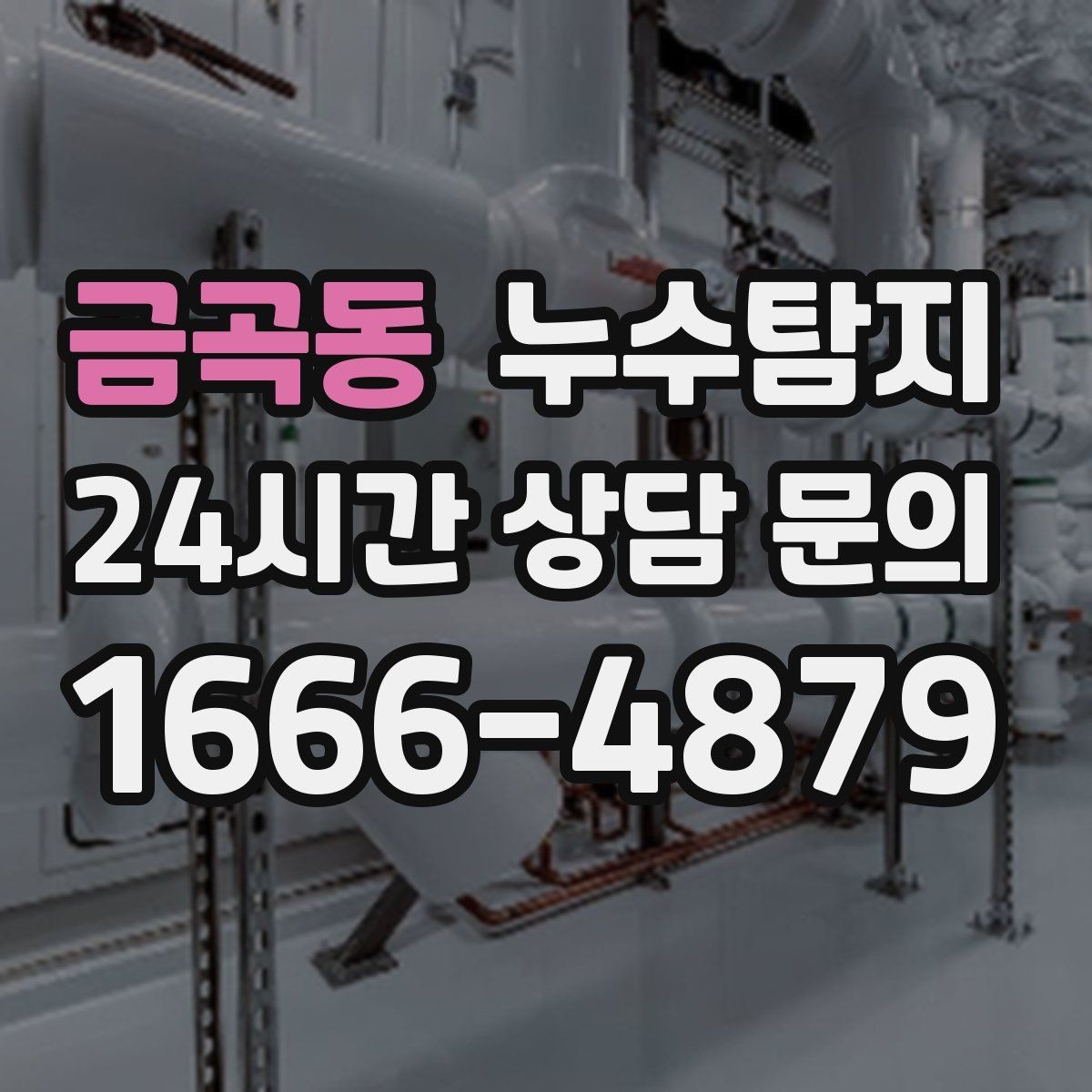 금곡동 누수탐지 아이 방 벽체 얼룩 해결
