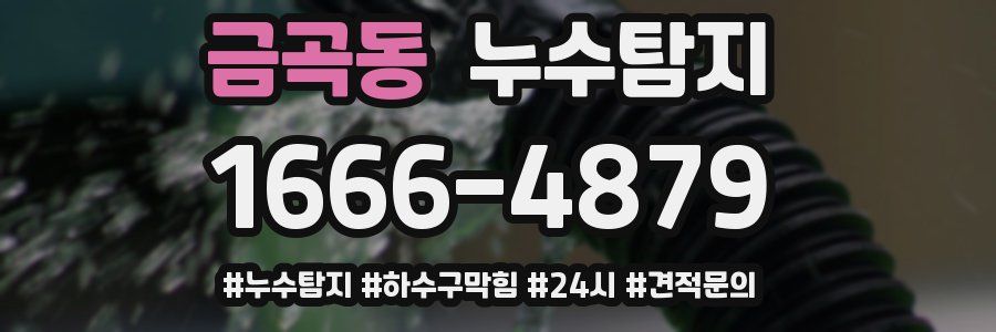 누수닥터 누수탐지