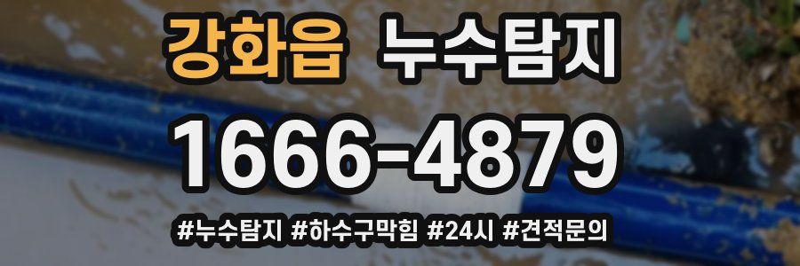 누수닥터 누수탐지