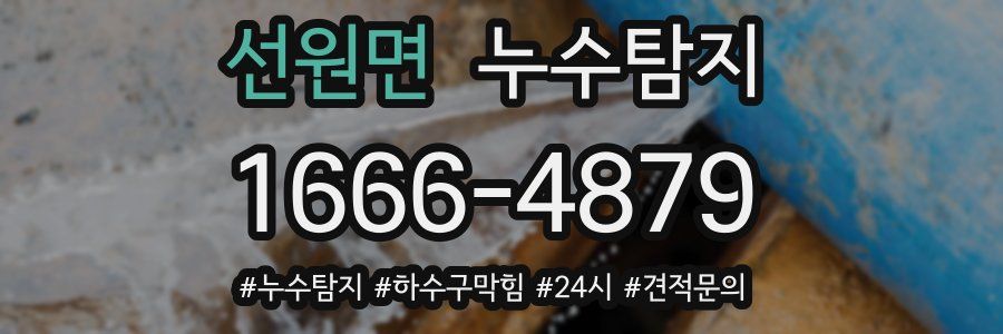 누수닥터 누수탐지