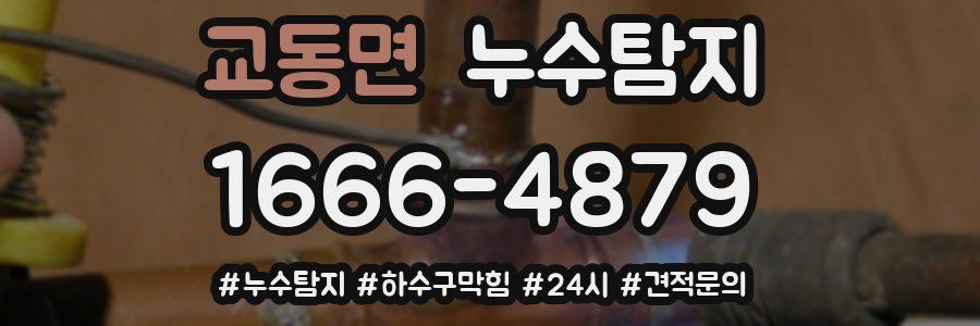 누수닥터 누수탐지