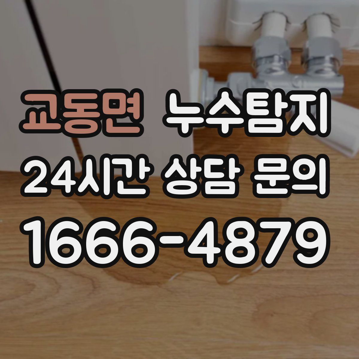 누수탐지