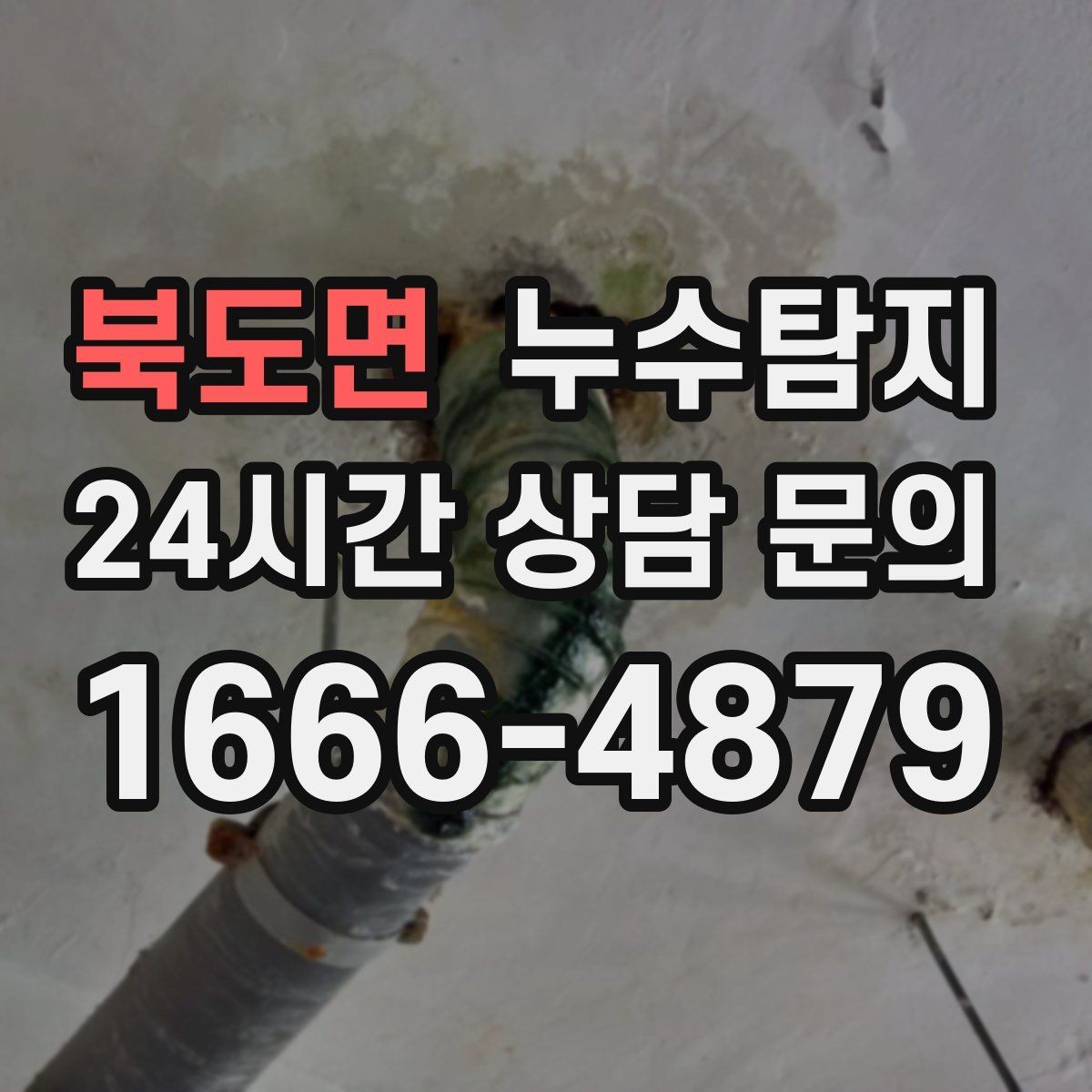 북도면 누수탐지 가구 뒤 곰팡이 원인 파헤치기