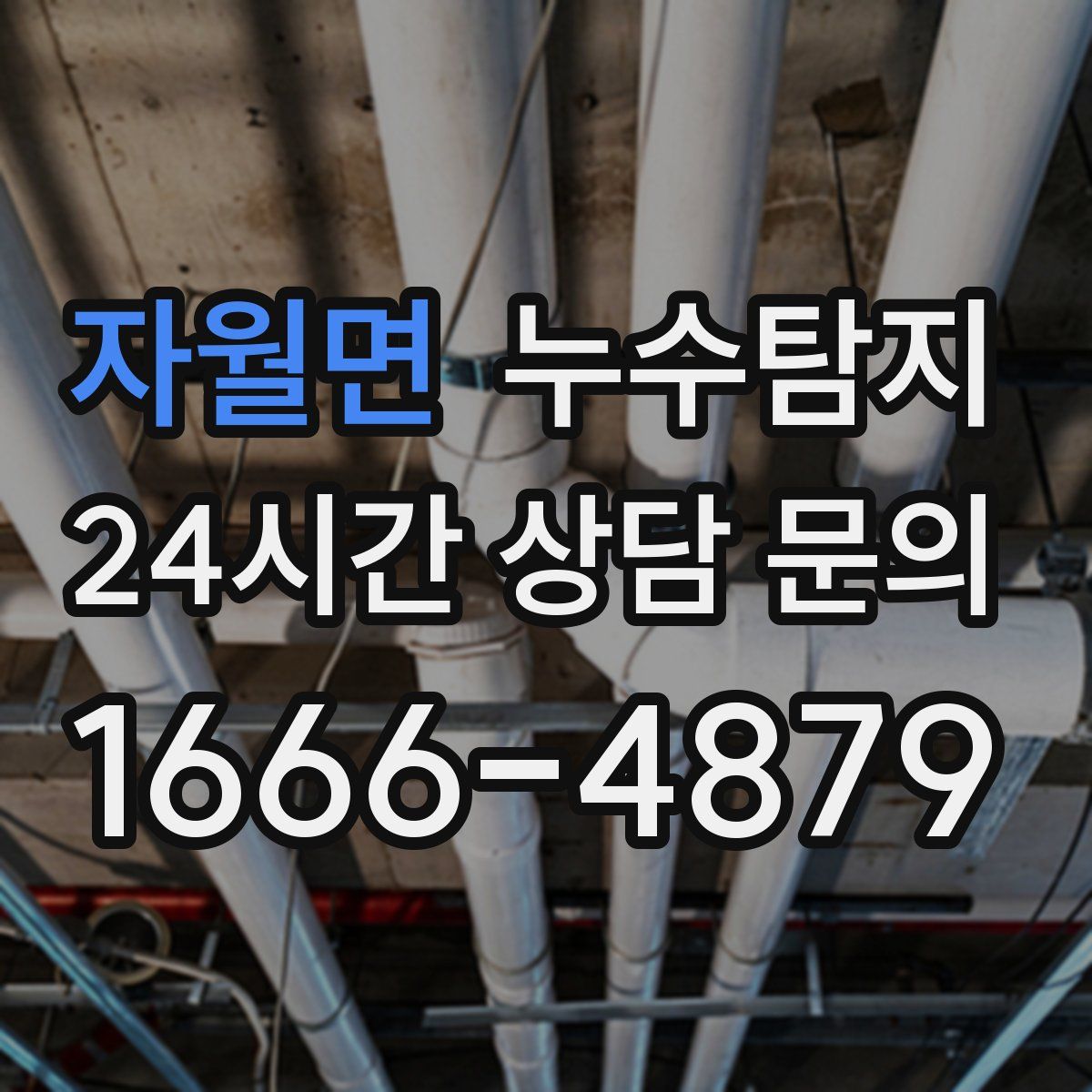 누수탐지