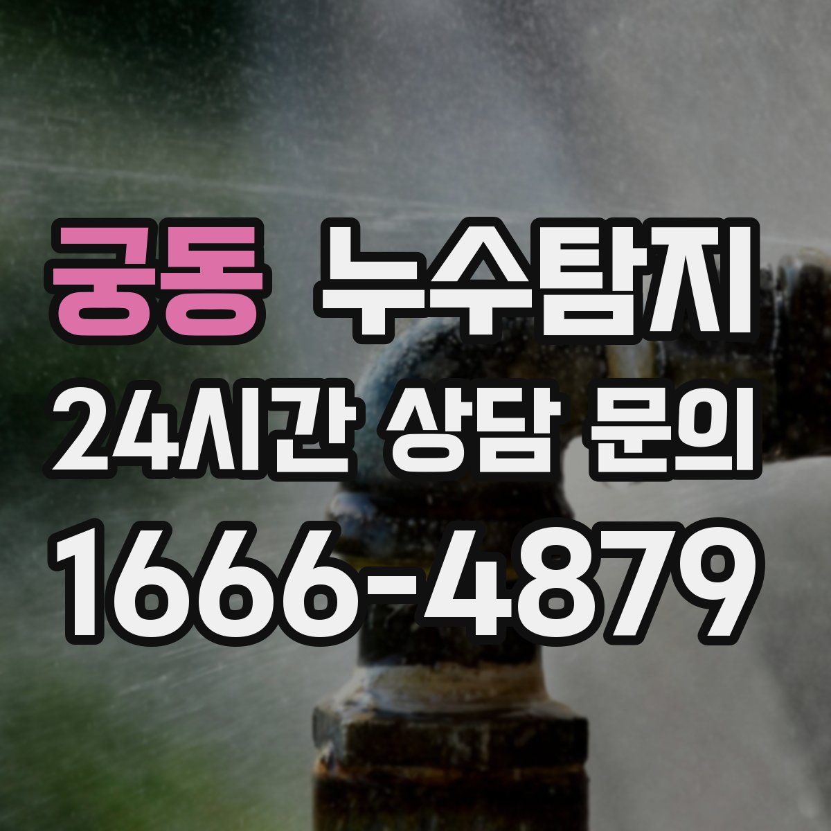 누수탐지
