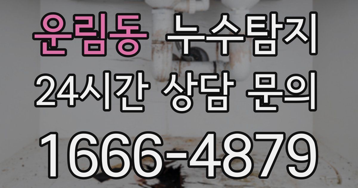 하수구막힘