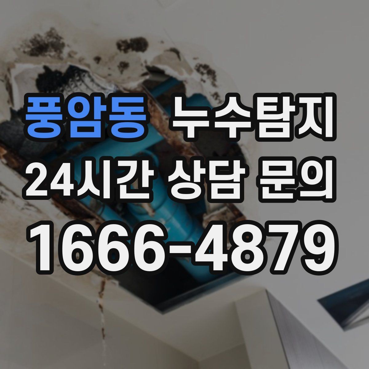 풍암동 누수탐지 바닥 습기와 장판 들뜸 해결기