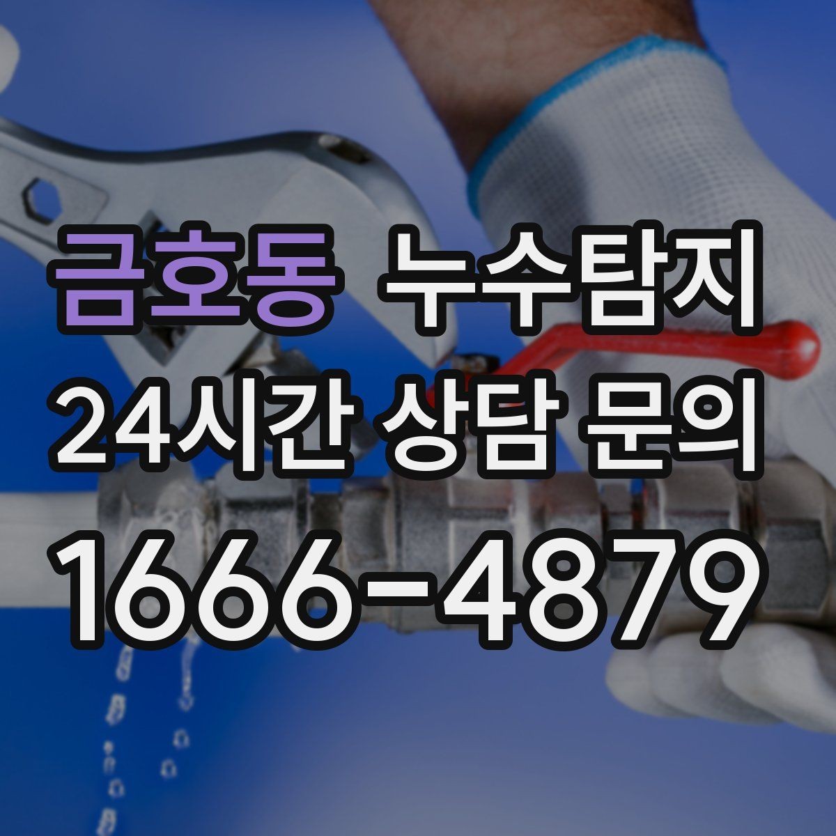 금호동 누수탐지 전세 계약 전 집 상태 확인법