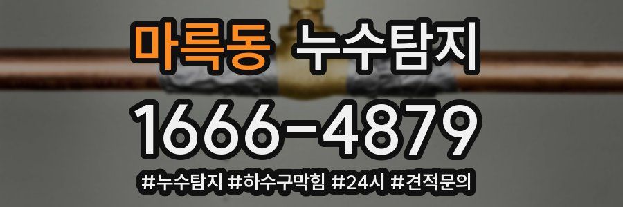 누수닥터 누수탐지