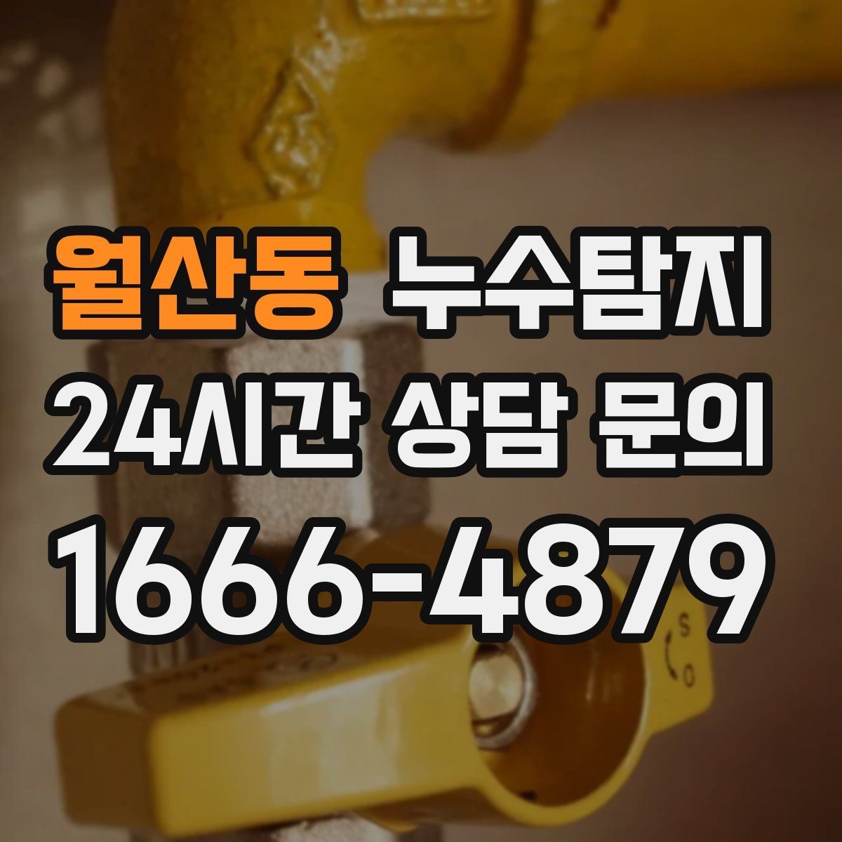 월산동 누수탐지 방수 결함 누수 진단