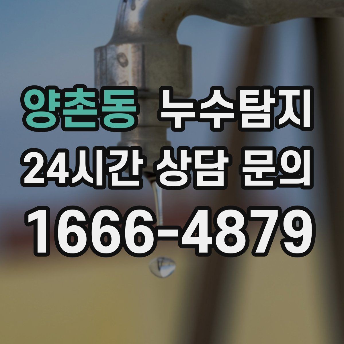양촌동 누수탐지 작은 물자국에서 시작된 대처 일지