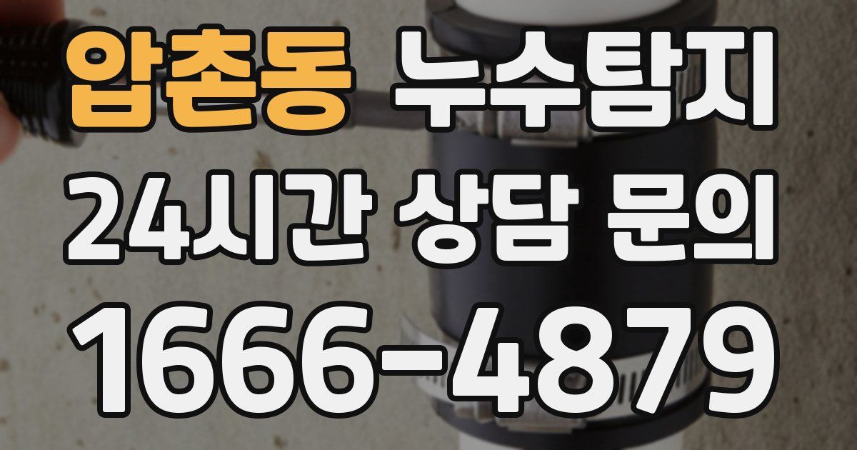 하수구막힘