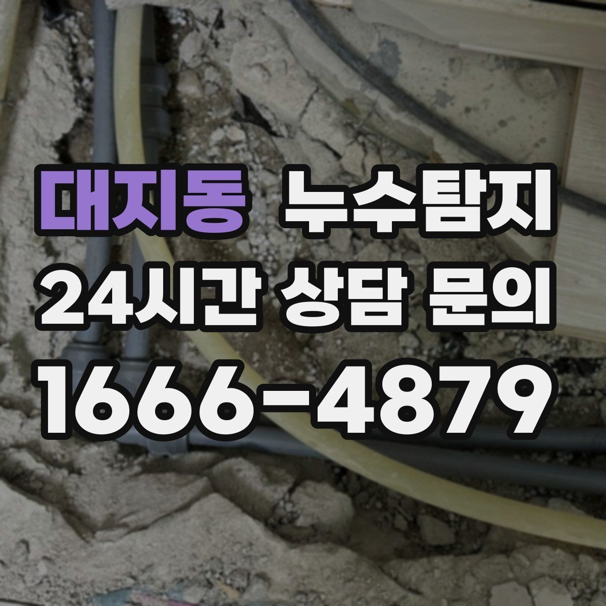 대지동 누수탐지 태풍 뒤 빠른 점검으로 안심
