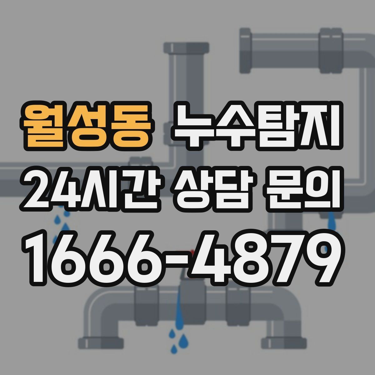 월성동 누수탐지 새집인데 왜 젖을까 원인 찾기