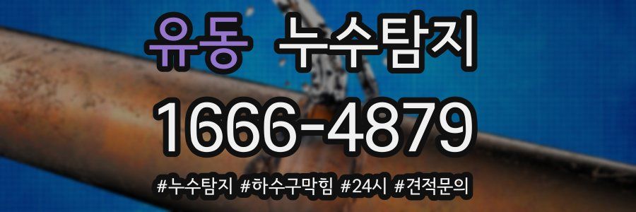 누수닥터 누수탐지