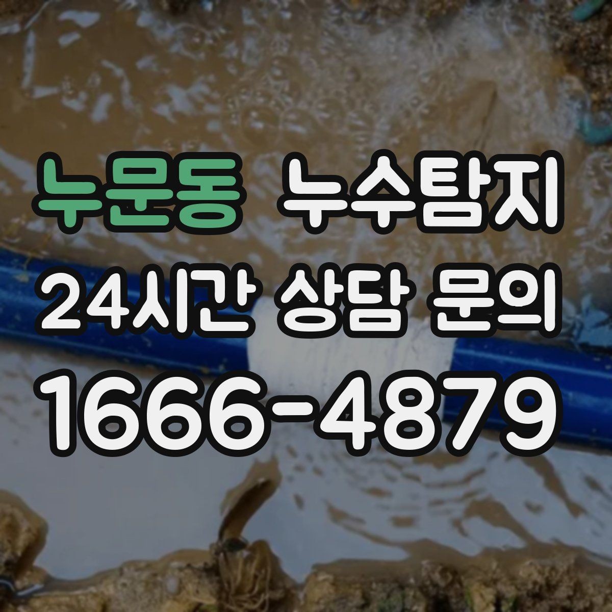 누문동 누수탐지 세탁실 배수 이상 확인 일지