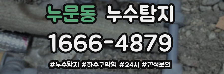 누수닥터 누수탐지