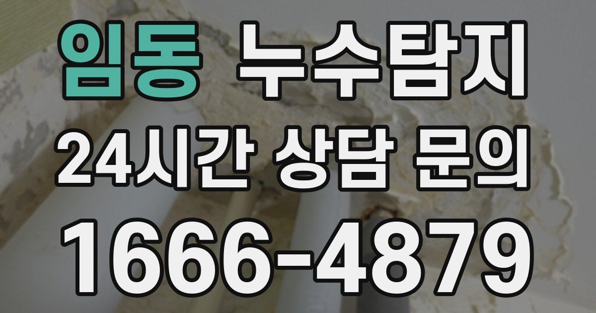 하수구막힘