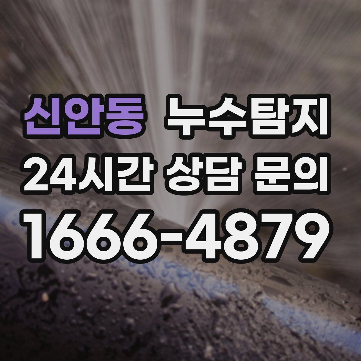신안동 누수탐지 보고서 읽는 법 초보 가이드